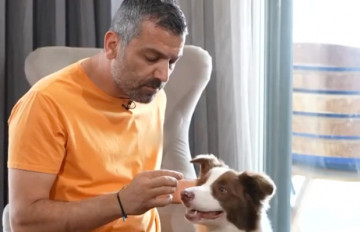 Ali Yeşilırmak ve Dostları 6. Bölüm