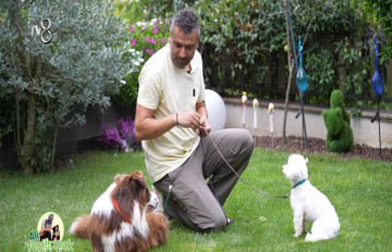 Ali Yeşilırmak ve Dostları 9. Bölüm