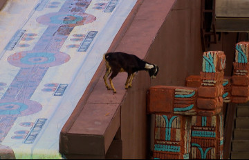 Survivor 2026 Ünlüler & Gönüllüler | 21.01.2026 Tanıtımı