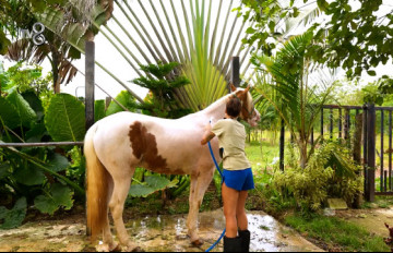 Survivor 2026 Ünlüler & Gönüllüler | 07.02.2026 Tanıtımı