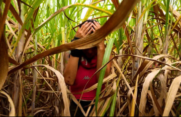 Survivor 2026 Ünlüler & Gönüllüler | Ada Günlüğü Tanıtımı