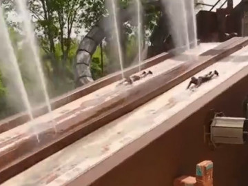 Survivor 2025  06.06.2025 Tanıtımı