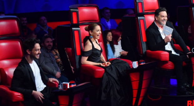 o ses hadise about press copyright